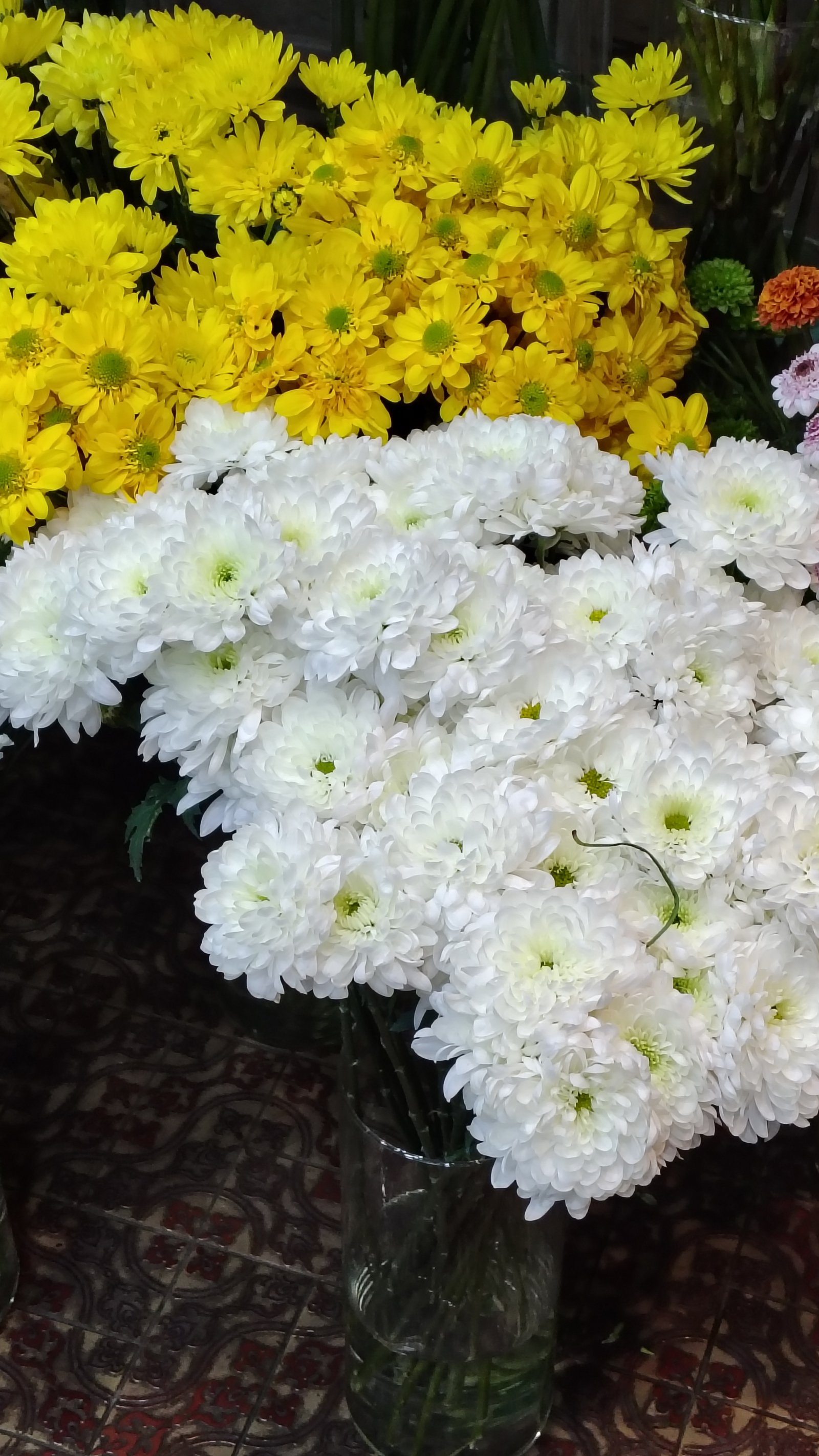 Crisantemos en tonos blanco y amarillo